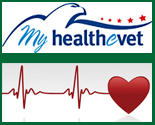 Eagle and heart logo for My HealtheVet